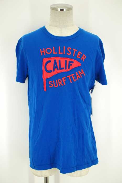 Hollister （ホリスター） 刺繍Tシャツ メンズ トップス