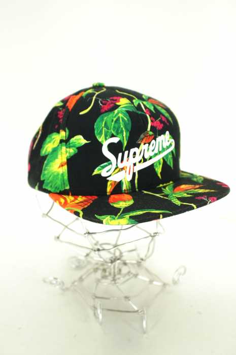 Supreme （シュプリーム） ボタニカルキャップ メンズ 帽子