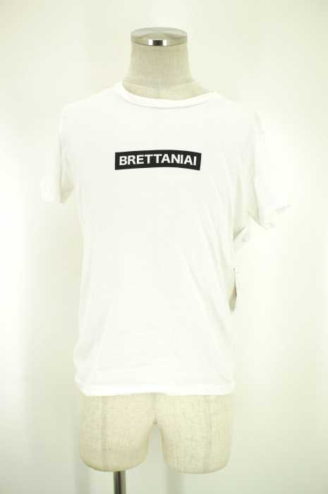 LOUNGE LIZARD (ラウンジリザード) BRETTANIAI Tシャツ メンズ トップス