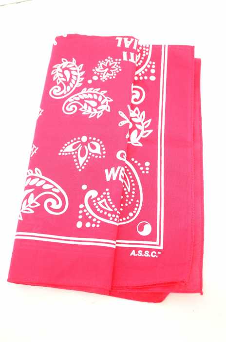 ANTI SOCIAL SOCIAL CLUB  （アンチソーシャルソーシャルクラブ） I DON T WANT TO SEE YOU BANDANA PINK メンズ ファッション雑貨