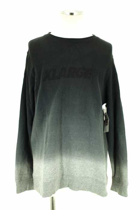 X-LARGE （エクストララージ） スウェットプルオーバートップス メンズ トップス