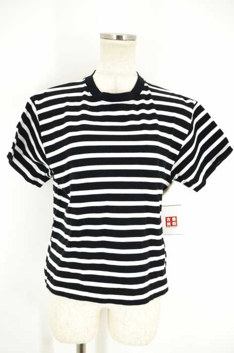 DRESSTERIOR （ドレステリア） ボーダーカットソー レディース トップス