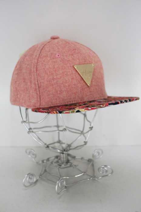 HATER SNAPBACK　 （ヘイター スナップバック） プレートスナップバックキャップ メンズ 帽子
