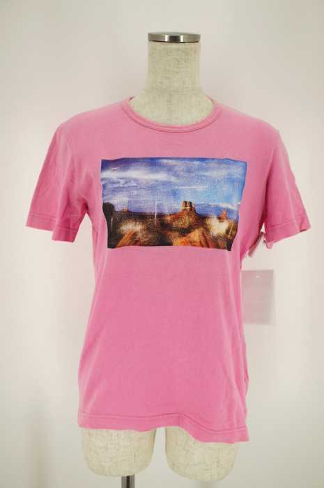 JUNYA WATANABE COMME des GARCONS MAN PINK （ジュンヤワタナベコムデギャルソンマンピンク） AD2003 プリントTシャツ レディース トップス