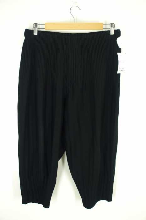 HOMME PLISSE ISSEY MIYAKE (オム プリッセ イッセイ ミヤケ) 15SS プリーツパンツ メンズ パンツ