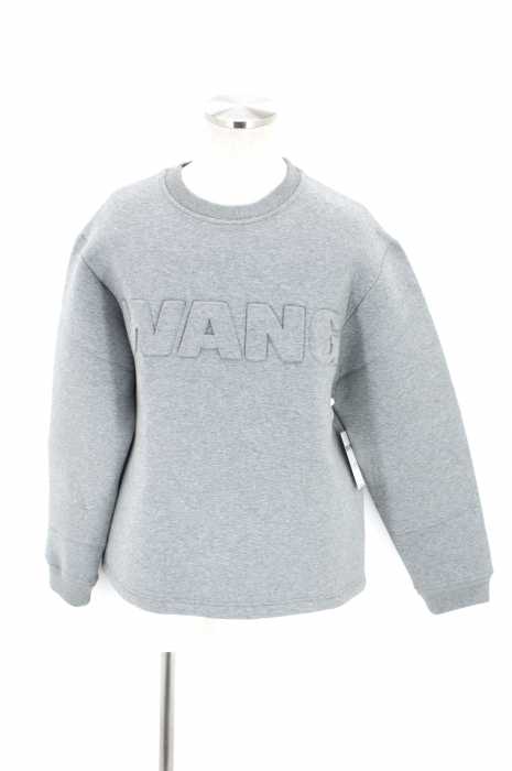Alexander Wang H&M (アレキサンダーワンエイチアンドエム) ボンディングスウェットプルオーバー メンズ トップス
