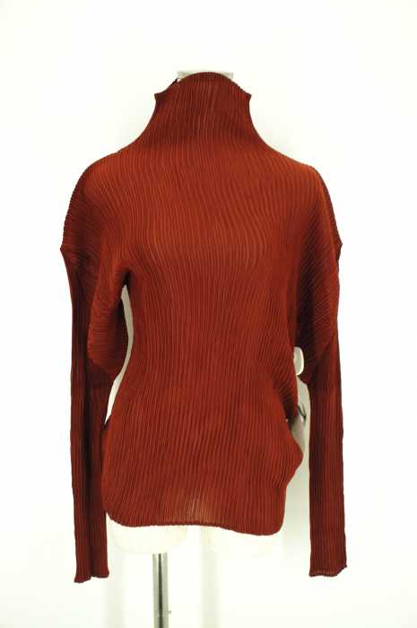 ISSEY MIYAKE （イッセイミヤケ） プリーツタートルネックカットソー レディース トップス