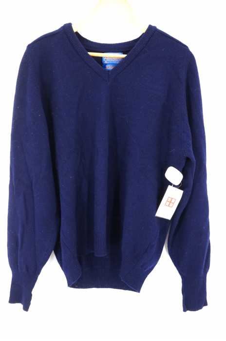 PENDLETON（ペンドルトン） Vネックニットトップス メンズ トップス