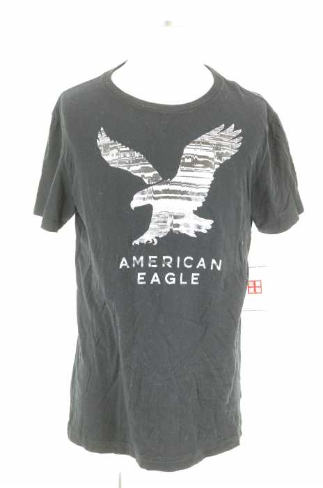 AMERICAN EAGLE OUTFITTERS (アメリカンイーグルアウトフィッターズ) ロゴプリントTシャツ メンズ トップス