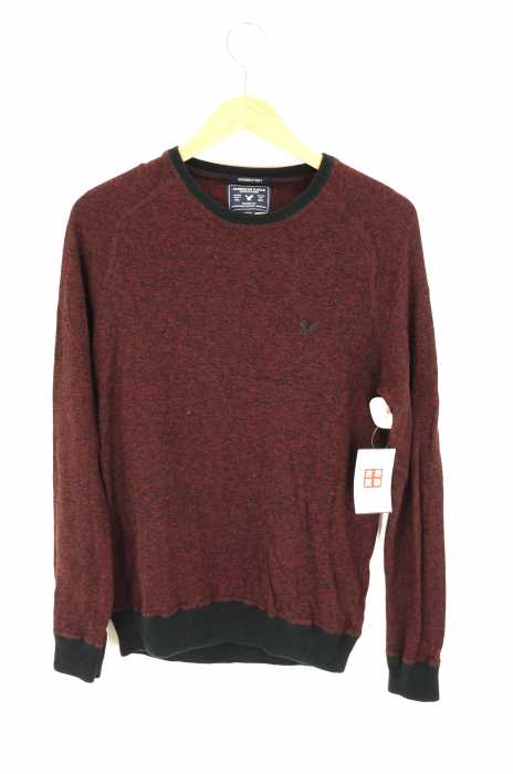AMERICAN EAGLE OUTFITTERS（アメリカンイーグルアウトフィッターズ） CLASSIC FIT クルーネックニットセーター メンズ トップス