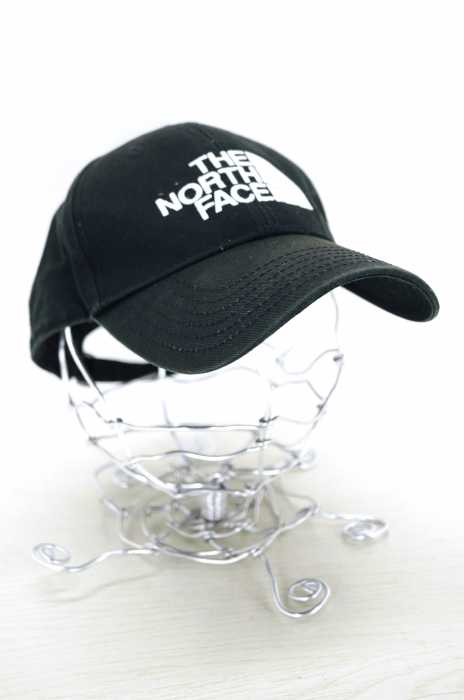THE NORTH FACE （ザノースフェイス） TNFロゴキャップ メンズ 帽子