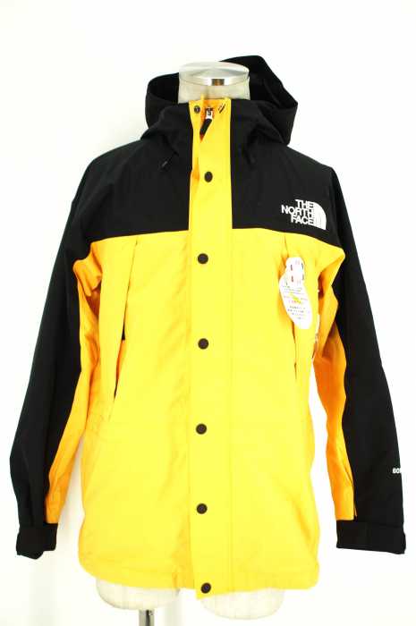 THE NORTH FACE (ザノースフェイス) Mountain Light Parka JACKET GORE TEX メンズ アウター