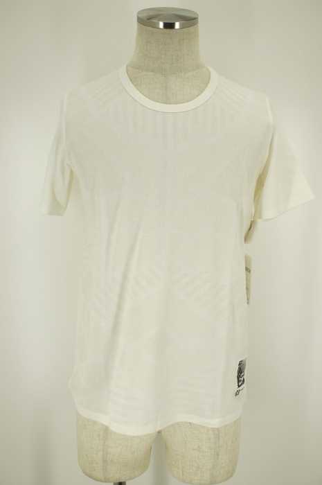 ANREALAGE (アンリアレイジ) 15SS PHOTOCHROMIC Tシャツ メンズ トップス