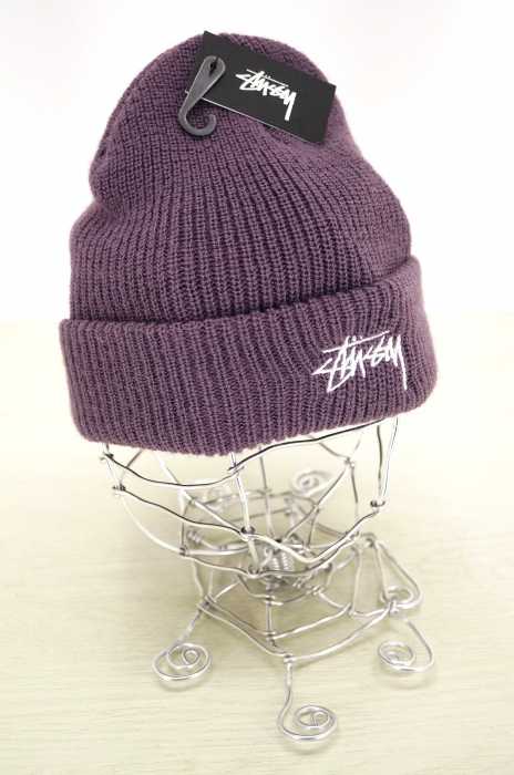 STUSSY （ステューシー） BASIC LOGO  Beanie メンズ 帽子
