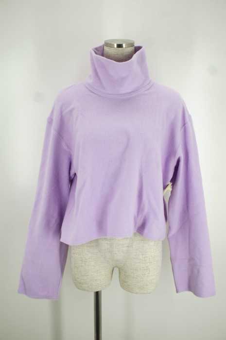 ECKHAUS LATTA  (エコーズ・ラッタ) ショート丈ハイネックカットソー レディース トップス