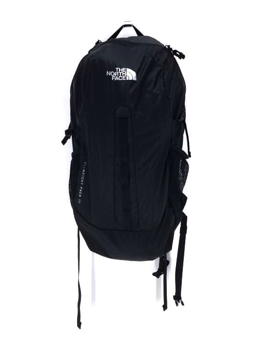 THE NORTH FACE（ザノースフェイス） FLYWEIGHT PACK 22 メンズ バッグ