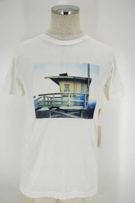 Inpaichthys kerri (インパクティスケリー) プリントTシャツ メンズ トップス