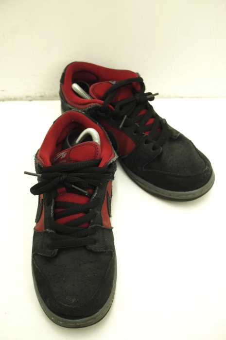 NIKE （ナイキ） DUNK LOW PRO SB メンズ シューズ