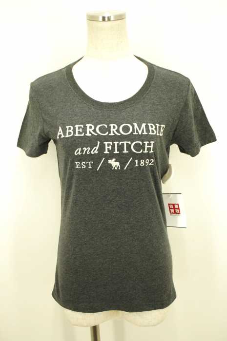 Abercrombie & Fitch （アバクロンビーアンドフィッチ） ロゴ刺繍Tシャツ レディース トップス