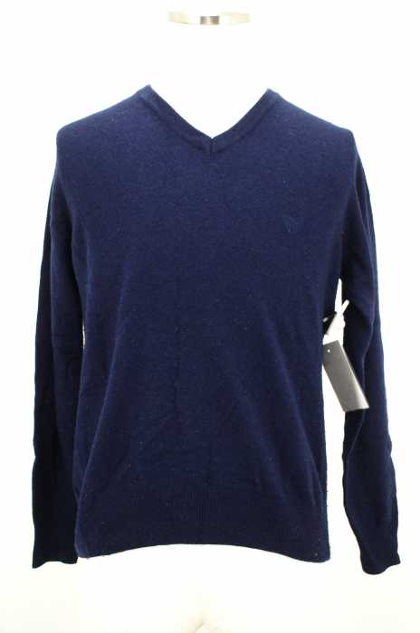 CAPORICCIO （） カシミヤ混Vネックセーター メンズ トップス