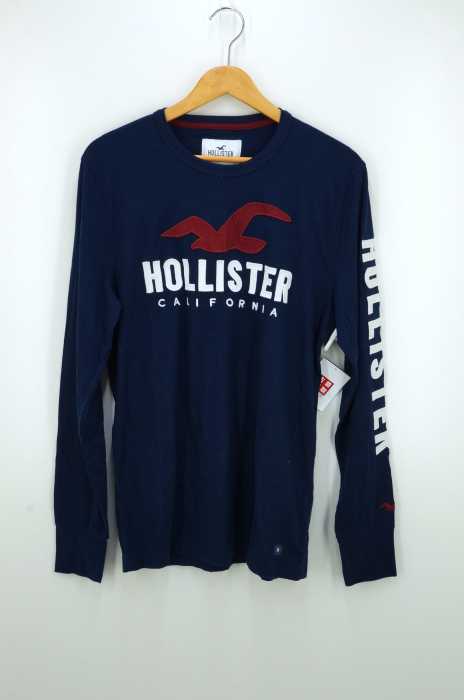 Hollister（ホリスター） アームロゴ刺繍 クルーネックロンT メンズ トップス