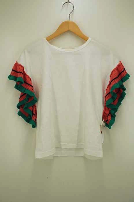 Ray BEAMS（レイビームス） ライン フリルスリーブ クルーネック Tシャツ レディース トップス