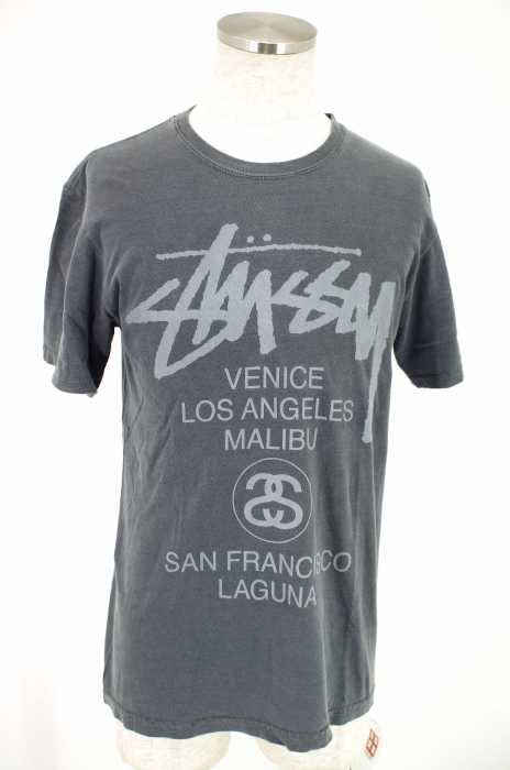 STUSSY (ステューシー) WD World Tour Pig Dyed Tee メンズ トップス