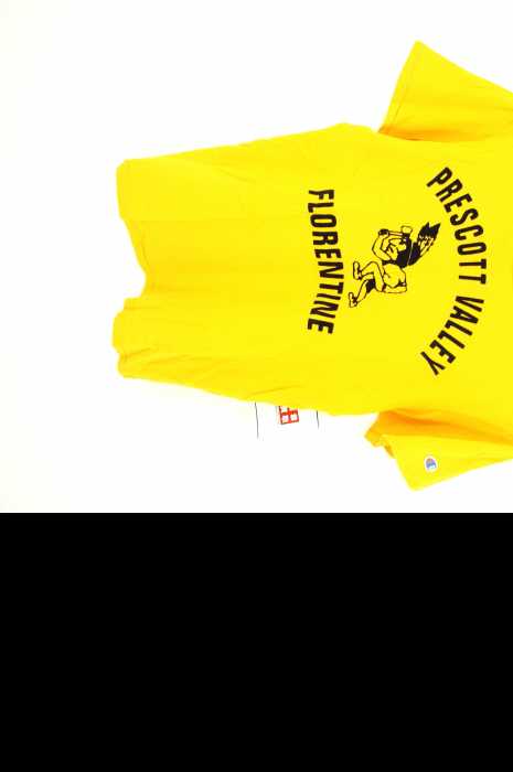 Champion（チャンピオン） カレッジロゴ プリント クルーネックTシャツ メンズ トップス