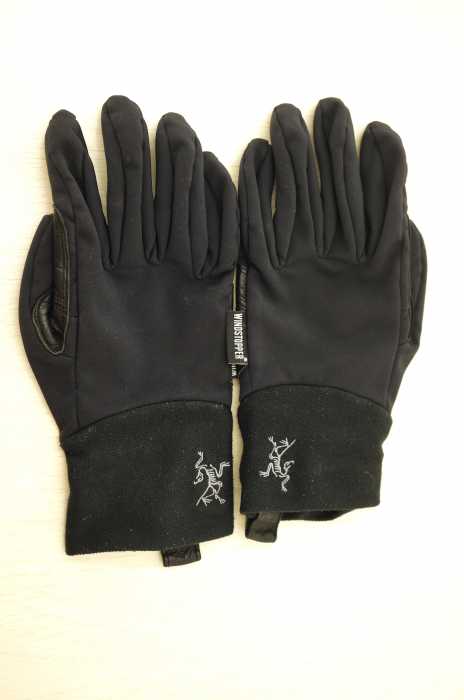 ARCTERYX（アークテリクス） VENTA LT GLOVE メンズ ファッション雑貨