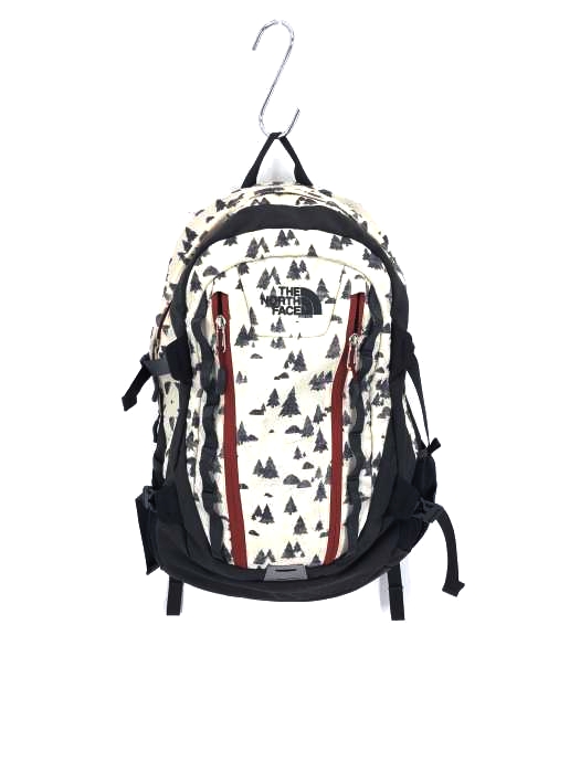 THE NORTH FACE（ザノースフェイス） BIG SHOT CL V　 ビッグショット レディース バッグ