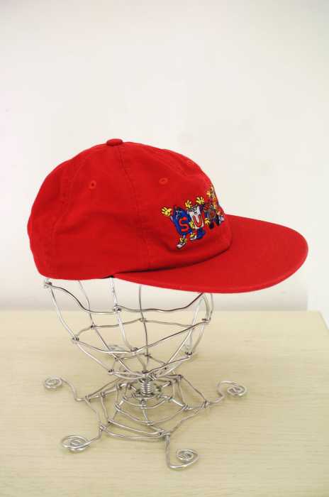 Supreme （シュプリーム） Friends 6 Panel メンズ 帽子