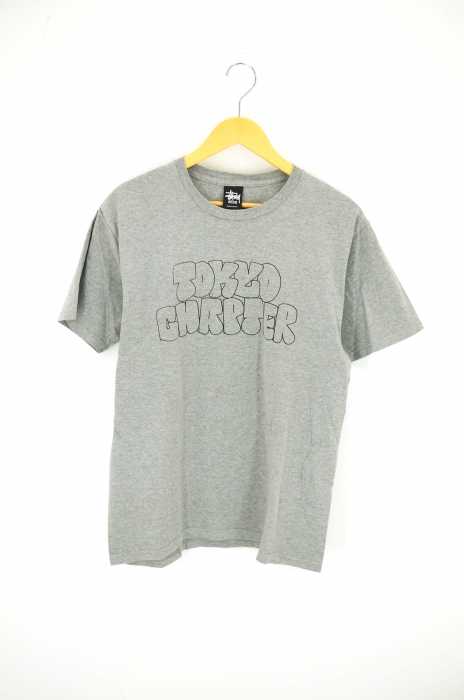 STUSSY (ステューシー) プリントTシャツ メンズ トップス