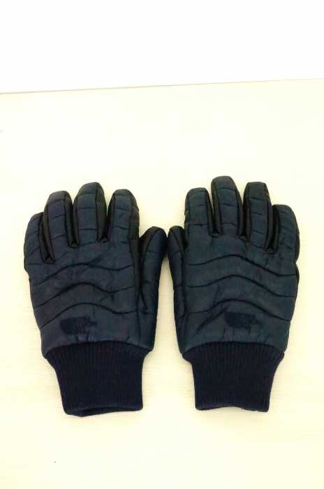THE NORTH FACE （ザノースフェイス） RP Glove アールピーグローブ メンズ ファッション雑貨