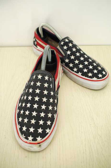 VANS （バンズ） SLIP-ON レディース シューズ