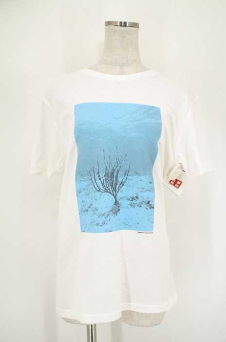 TOKYO CULTUART by BEAMS （トーキョーカルチャートバイビームス） プリントTシャツ メンズ トップス