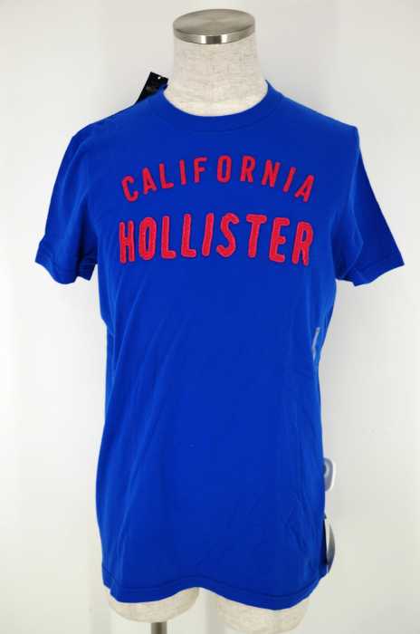 Hollister (ホリスター) ロゴワッペンTシャツ メンズ トップス