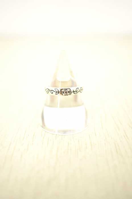 ANNA SUI (アナスイ) SV925 レディース アクセサリー