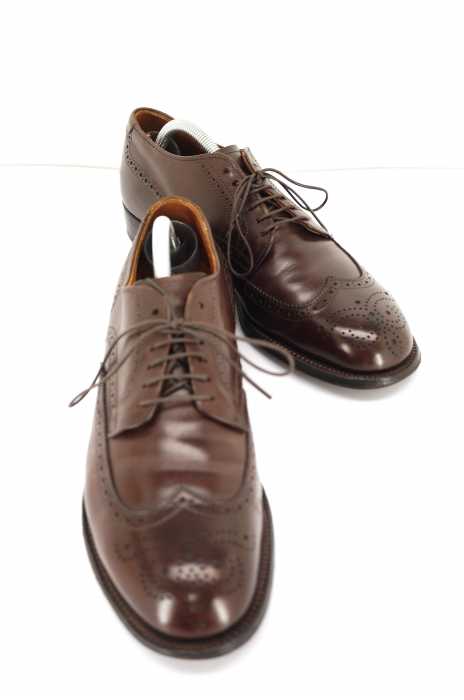 ALDEN （オールデン） ECLIPSE CALF ウィングチップローファー メンズ シューズ