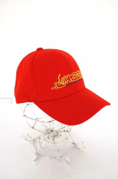 HYSTERIC GLAMOUR (ヒステリックグラマー) ロゴ刺繍キャップ レディース 帽子