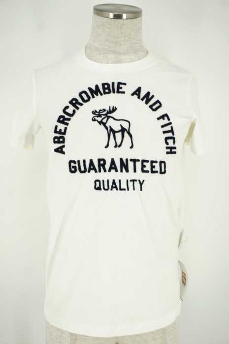 Abercrombie & Fitch （アバクロンビーアンドフィッチ） 刺繍ロゴTシャツ メンズ トップス