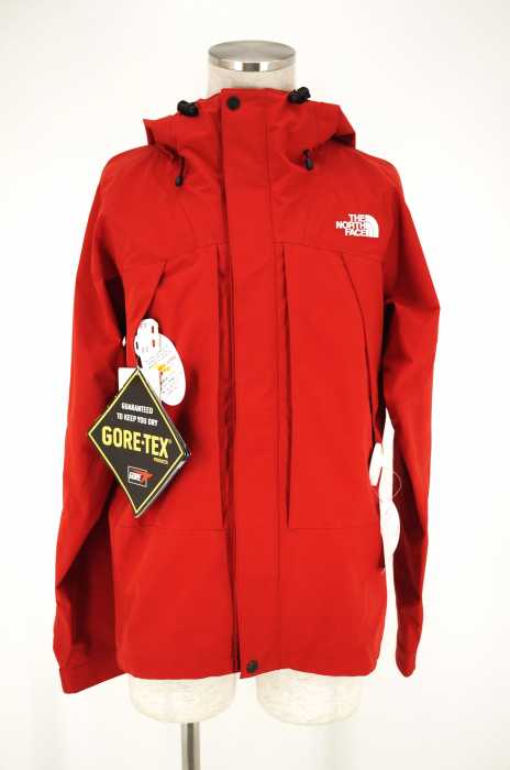 THE NORTH FACE (ザノースフェイス) GORE-TEX ALL MOUNTAIN JACKET オールマウンテンジャケット メンズ アウター