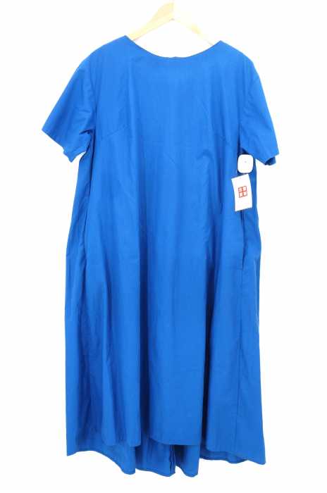 Ray BEAMS （レイビームス） 19SS バックプリーツ ボートネック ワンピース レディース ワンピース