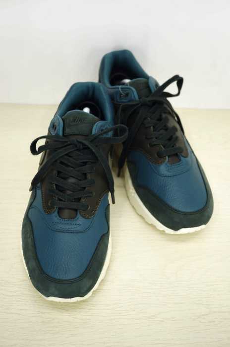 NIKE （ナイキ） NIKELAB AIR MAX 1 PINNACLE メンズ シューズ