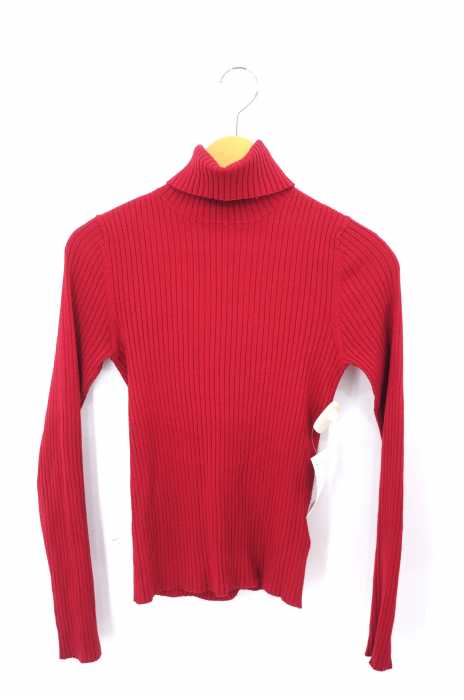 Ray BEAMS (レイビームス) 14G RIB タートル ニット レディース トップス