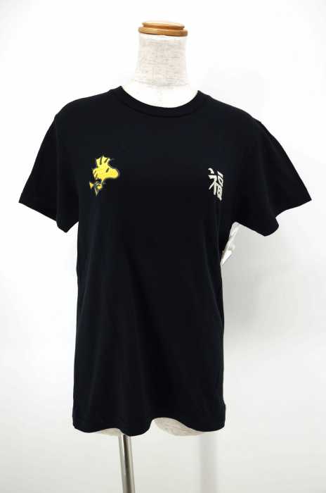 TOYO ENTERPRISE × PEANUTS（トーヨーエンタープライズ） キャラクター刺繍入りTシャツ レディース トップス