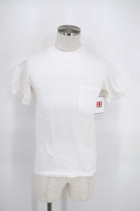 GOODWEAR （グッドウェア） モックネックポケットTシャツ メンズ トップス