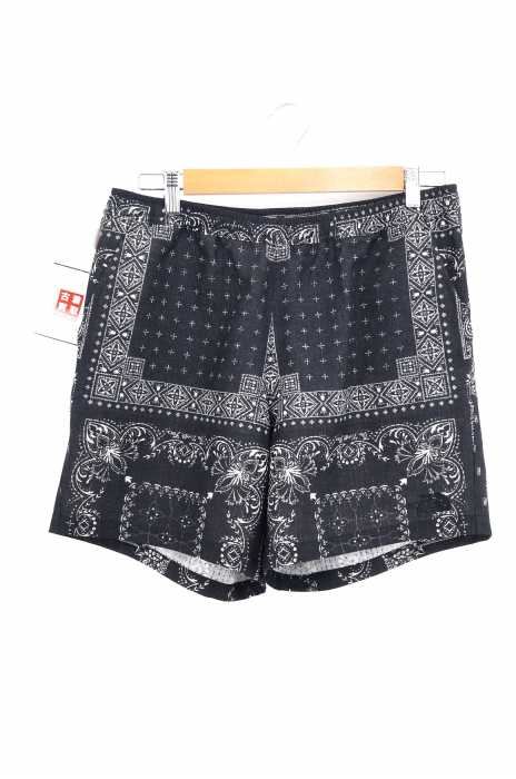 THE NORTH FACE（ザノースフェイス） Climbing Summer Short ペイズリーサマーショーツ メンズ パンツ