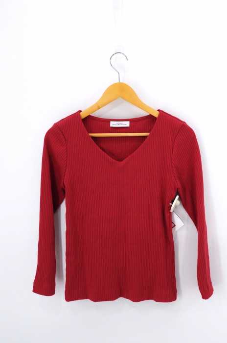 UNITED ARROWS green label relaxing （ユナイテッドアローズグリーンレーベルリラクシング） シャイニー ワイドテレコ Vネック カットソー レディース トップス