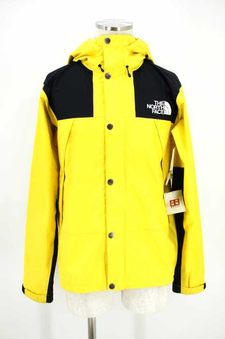 THE NORTH FACE (ザノースフェイス) 17SS GORE-TEX MountainRaintexJacket メンズ アウター