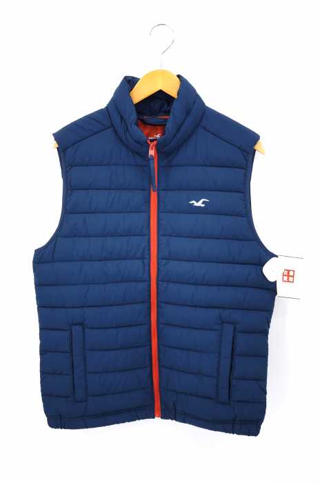 hollister(ホリスター) ダウンベスト メンズ アウター